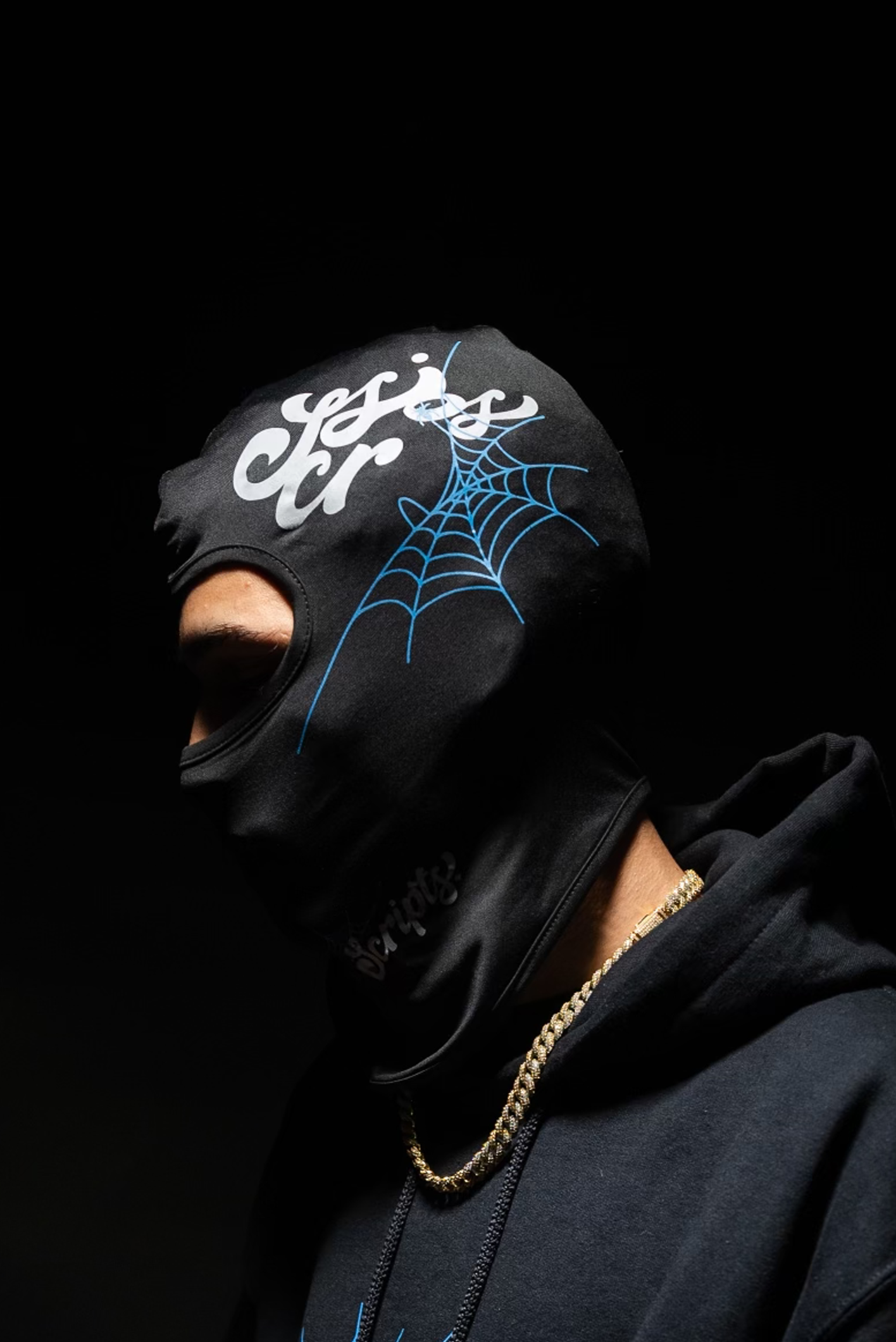 WebScripts Ski Mask